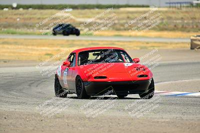 media/Jul-27-2024-Speed Ventures (Sat) [[14cea0cda4]]/Purple/Cotton Corners 1250pm/
